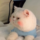 头号顽家