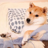 AEN.阿恩