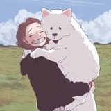 花梨树下一只猫