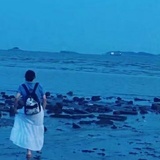 朝朝望
