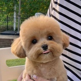 今天多云