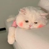 妖魔鬼怪快离开