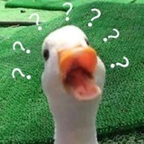 有风自南