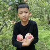 我也要当皇子妈