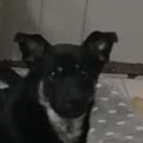 东坡酒肉行一舟