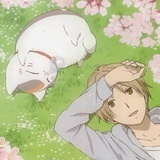 猫七