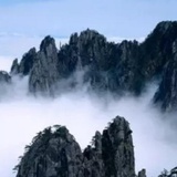 恰似你的温柔