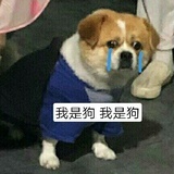 嗯嗯你说
