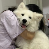 少吃早睡