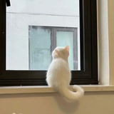 胡了吧唧
