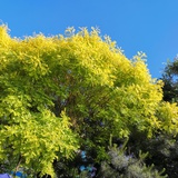 名字真是个难题