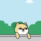 愿你买菜涨价　