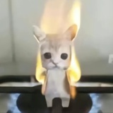 碳烤小猫咪