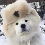 烤五花