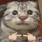 啊这