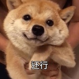 茉莉村委会文员
