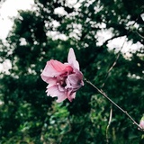 上心
