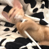 积极配合