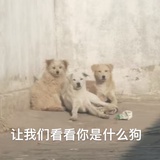 阿不