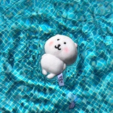 可可芭蕾