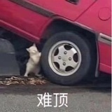 ？