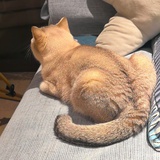 爱眼睛少看手机