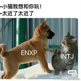 人类小样一只