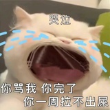 哇嘟卡