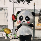 青灯