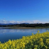 宁静致远