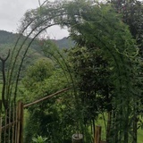 聆泉