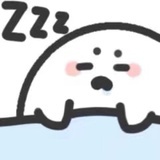 沨木