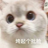 垮起一个批脸