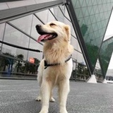阿布与可爱多