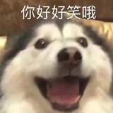 未注销