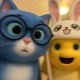 胖鸡的猫吧