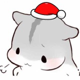 科学包大师
