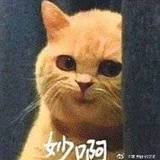 吃点好的吧