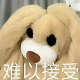 小火熊（狂舞版