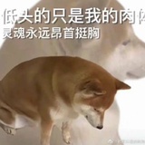 嘟嘟今天要加油