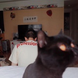 说