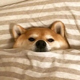 拖延症重度患者