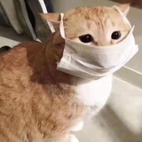 瓜娃子