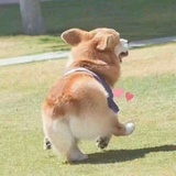 宝蓝吖