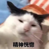 最后一次搞选秀