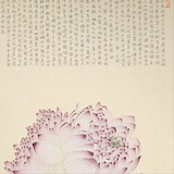 果核
