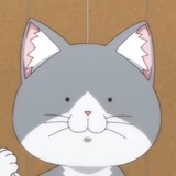 春波绿