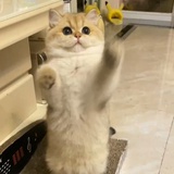 黄宗泽泽