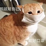 五分钟