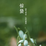 曦唧alir